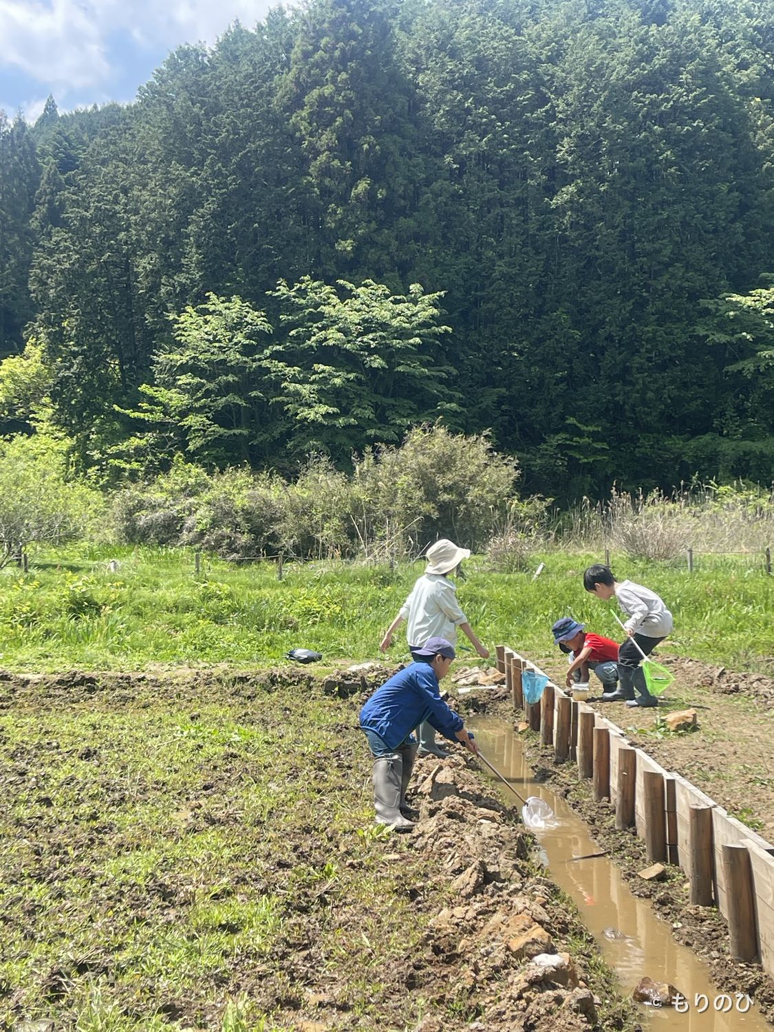 里山でいきものを探すこどもたち